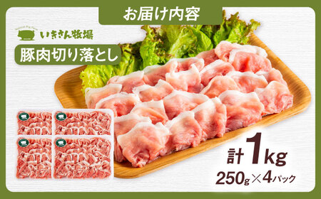 一貴山豚 切り落とし 計1kg(250g×4p)  糸島市 / いきさん牧場 豚肉 冷凍 [AGB057]