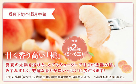 【期間限定発送】【旬の桃とシャインマスカットの2回定期便】令和7年 桃約2kg（5～6玉）、シャインマスカット約1.8kg（2～4房） [株式会社えべし 山梨県 中央市 21470869] ぶどう 桃 フルーツ 果物 くだもの ブドウ シャイン マスカット もも 葡萄 期間限定 季節限定 【2026年6月下旬-10月下旬発送予定】