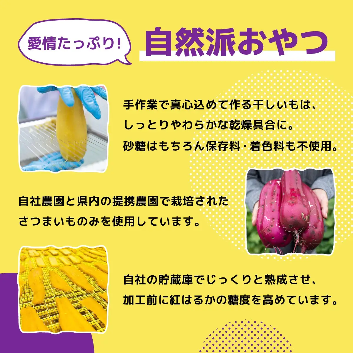 【紅はるか/個包装】茨城県産干しいも20枚入りジョイフルセット_果物・フルーツ 干し芋 ドライフルーツ ほしいも ホシイモ_【1540797】