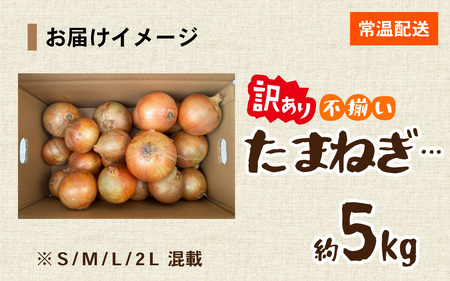 玉ねぎ 5kg 訳あり 淡路島  / 玉ねぎ