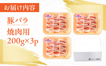 豚肉 焼肉用 計600g NAC501 豚肉