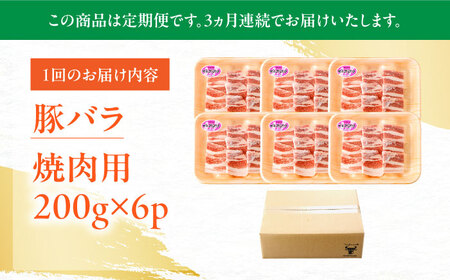 【定期便】 豚肉 焼肉用 総計3.6kg NAC604 豚肉 全3回