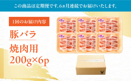 【定期便】 豚肉 焼肉用 総計7.2kg NAC605 豚肉 全6回