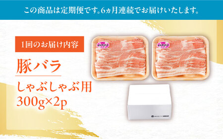 【定期便】 豚肉 しゃぶしゃぶ用 総計3.6kg NAC608 豚肉 全6回