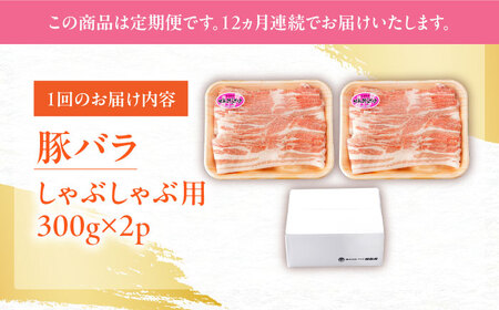 【定期便】 豚肉 しゃぶしゃぶ用 総計7.2kg NAC609 豚肉 全12回