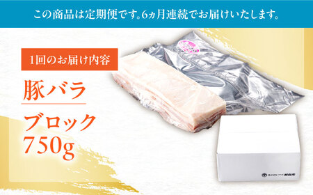 【定期便】 豚肉 ブロック 総計4.5kg NAC614 豚肉 全6回