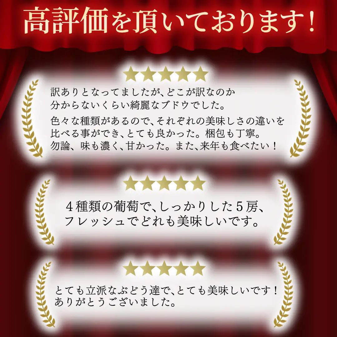 ＼訳あり ご家庭用／大粒ぶどう（種なし）詰合せ 合計 3～5房入 (DM004)
