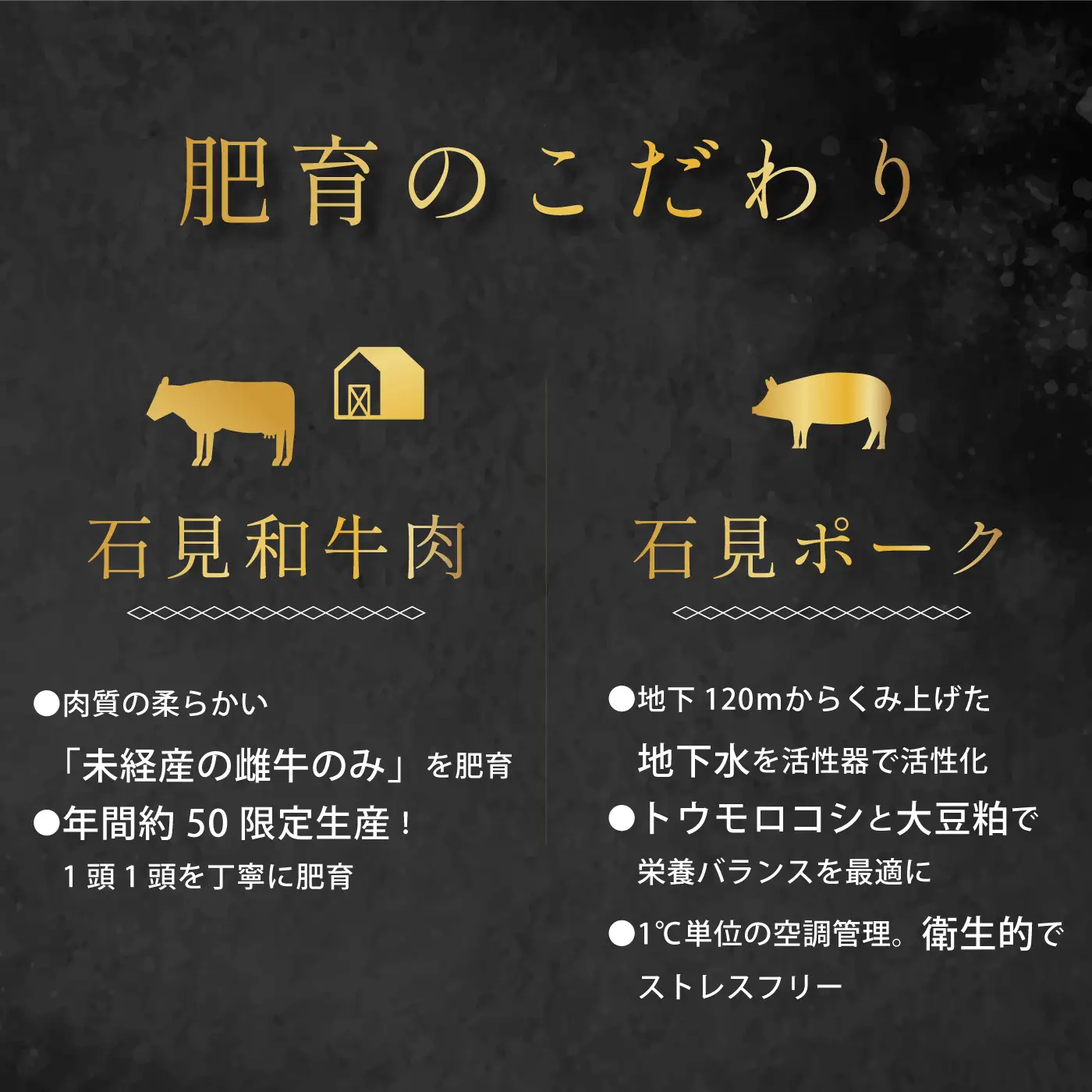 「定期便 全4回」邑南自慢 石見和牛肉・石見ポークの定期便 総重量3.9kg