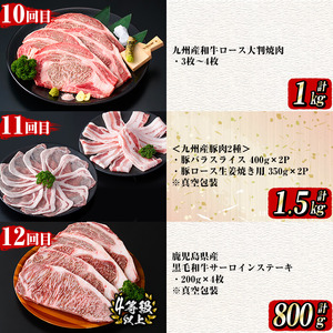 【定期便全12回】牛・豚堪能定期便(12ヶ月連続・計15.7kg超) 黒毛和牛 国産牛 九州産 豚 豚肉 肉 牛肉 国産 4等級 訳あり 小分け 真空包装 冷凍 t0199-001