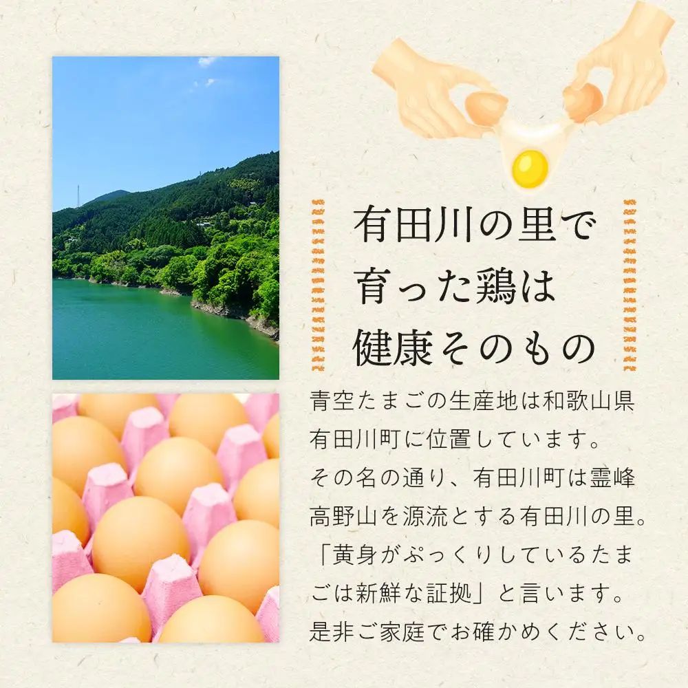 有田の青空たまご ササキのたまご MSサイズ 108個入