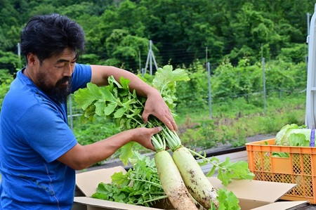 【2026年先行予約】北杜市明野産 「葉付き大根」10本セット（10kg程度）　葉付き 大根 10本 セット 野菜 10kg程度 北杜市明野産 ダイコン 農薬不使用 有機肥料 新鮮 大根葉 生食 煮物 期間限定 山梨県 北杜市 [h202]