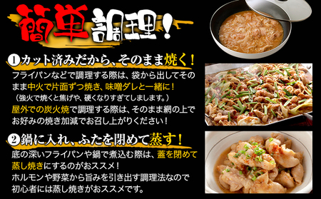 豚ホルモン とんちゃん 2kg (400×5袋) 独楽 送料無料《30日以内に出荷予定(土日祝除く)》 福岡県 鞍手郡 鞍手町 豚 ホルモン