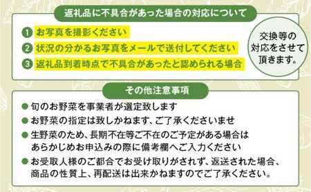【６回定期便】日時指定OK！本日のお野菜セット （大サイズ/約15～17種） 4人以上用 / 野菜 朝どれ 有機栽培 産地直送 新鮮 旬 詰め合わせ サラダ 果物 きのこ類 やさい 送料無料 定期便 6カ月【オーガニックのまち 宮崎県綾町】＿A0053-011