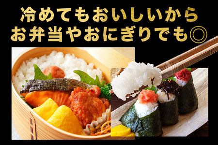 【3ヶ月 定期便 】令和7年産 コシヒカリ 10kg (5kg×2袋) 計30kg FH-008 