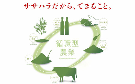 オリーブ三畜 肉おせち重セット