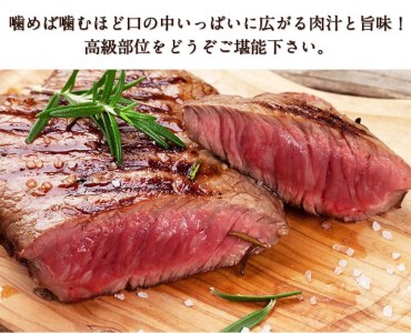 熊本県産 あか牛ヒレステーキ 約200g×2枚 肉のみやべ《120日以内に出荷予定(土日祝除く)》 st-p