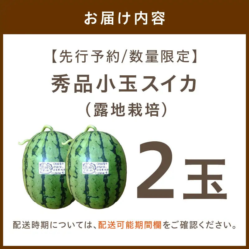 【先行予約／数量限定200】スイカ にしまるスイカ 秀品 2玉｜2026年7月中旬から発送
