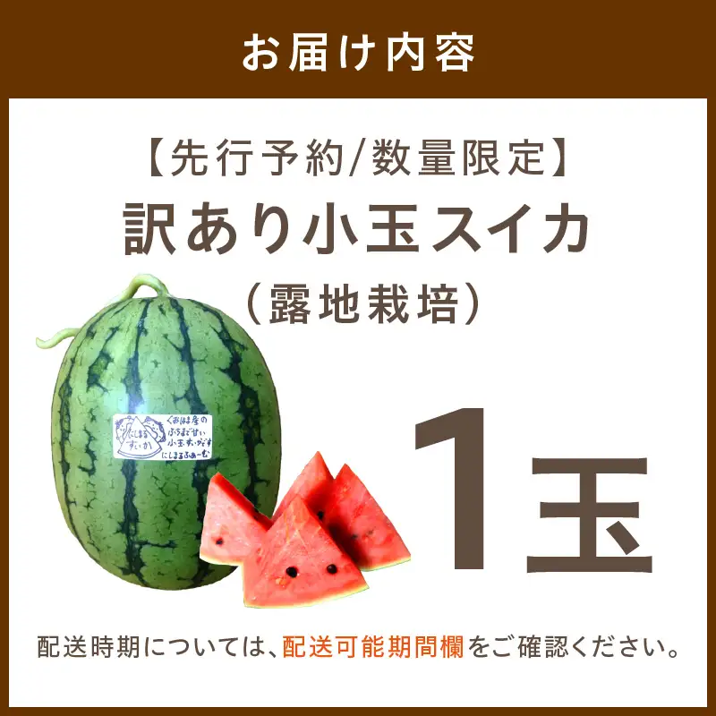  【先行予約／訳あり】にしまるスイカ 1玉 露地栽培 小玉スイカ フルーツ 26年7月～