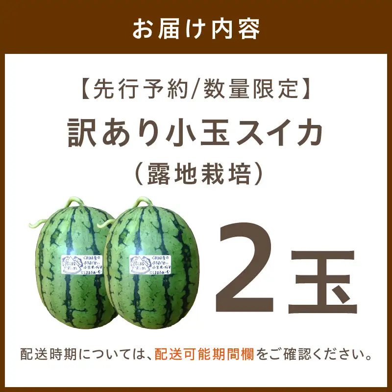 【先行予約／数量限定200】にしまるスイカ 訳あり 2玉入り（露地栽培）（2026年7月中旬から発送）