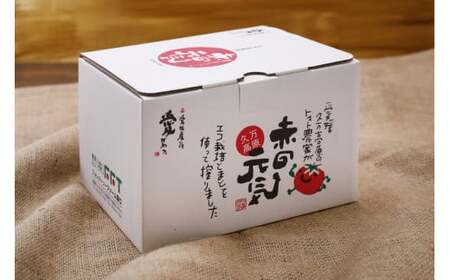 トマト 加工 ジュース「赤の元気（12本セット）※夏穫れ赤ラベル6本＋秋穫れ白ラベル6本」｜朝食 野菜 ドリンク 無添加 健康 ギフト 贈答用 毎日 家庭用　家族 愛媛 久万高原町※離島への配送不可