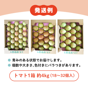 【家庭用】石墨清流 トマト 4kg｜糖度9～11度 そのままでも 美味しい 久万高原町 トマト とまと 自然栽培 野菜 カレー トマトソース 濃縮 ヒナタ 安心 酸味 甘味 清流 料理 農家 旨み サンドイッチ 新鮮 煮込み 料理 アレンジ 美味しい 手作業 人気 ギフト プレゼント 自然 小長谷勝也 愛媛 ※離島への配送不可 ※2026年7月下旬頃より順次発送予定