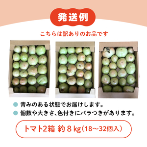 【贈答用】石墨清流 トマト 4kg｜糖度9～11度 そのままでも 美味しい 久万高原町 トマト とまと 自然栽培 野菜 カレー トマトソース 濃縮 ヒナタ 安心 酸味 甘味 清流 料理 農家 旨み サンドイッチ 新鮮 煮込み 料理 アレンジ 美味しい 手作業 人気 ギフト プレゼント 自然 小長谷勝也 愛媛 ※離島への配送不可 ※2026年7月下旬頃より順次発送予定