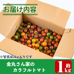 カラフルトマト食べ比べセット(約1kg)  国産 野菜【KT-9】【K.Tfarm】