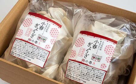 杵築ぎょうざ小春の小春ぎょうざ(スタンダード) 50個 冷凍 餃子 人気 国産 ぎょうざ ギョーザ ＜152-001＞