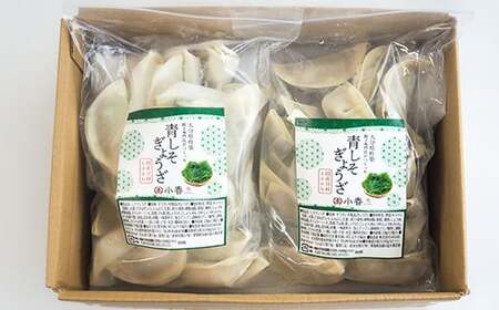 杵築ぎょうざ小春の青しそぎょうざ 40個 冷凍 餃子 人気 国産 ぎょうざ ギョーザ ＜152-002＞