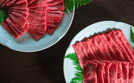《定期便》＜武州和牛＞焼き肉用・しゃぶしゃぶ用 900g (焼肉用 500g、しゃぶしゃぶ用 400g)［全3回］ ブランド牛 銘柄牛 埼玉武州和牛 黒毛和牛 和牛 霜降り 牛肉 肉 焼き肉 しゃぶしゃぶ ご当地 グルメ 食品 関東  F5K-016
