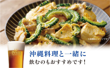 オリオン ザ・プレミアム 缶（350ml×24本）*県認定返礼品／オリオンビール*