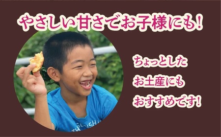 手作りパイ5種の詰め合わせ30個セット