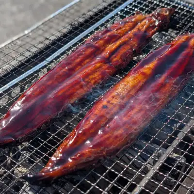 【徳島県産】美波町の森が育んだ「樵木（こりき）備長炭」で焼き上げる。外はパリッ、中はふっくら。職人手焼きの極上うなぎ（大きめ5尾）ふるさと納税 うなぎ 鰻 蒲焼 国産 徳島県 美波町 炭火焼 備長炭 手焼き 大きめ 高級 絶品 お取り寄せ ギフト 土用の丑 SDGs サステナブル 環境保全 伝統　ウナギ