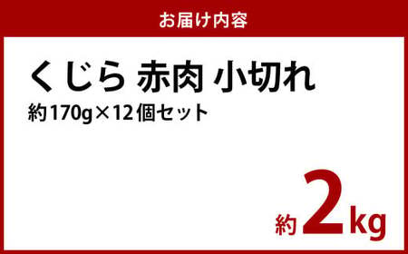 【7営業日以内発送】くじら 赤肉 小切れ 170g×12個セット クジラ 鯨 赤身 刺身 おつまみ
