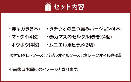 【7営業日以内発送】長崎お魚切り身セット2 魚 お魚 三枚おろし タレ付き 海鮮 海産物 魚介