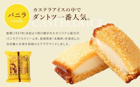 バラエティ番組出演 長崎カステラアイス (バニラ) 計10個  ／ ニューヨーク堂 カステラアイス カステラ アイス デザート スイーツ お菓子 おやつ 冷凍 人気 ご当地 お取り寄せ 長崎 長崎県 長崎市