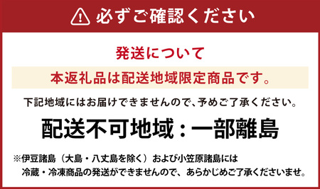 長崎皿うどん6食セット ／ リンガーハット 国産野菜 具付き 食品 お取り寄せ 冷凍 小分け 簡単調理 パリパリ 極細 揚げ麺 揚麺 具材 冷凍 小分け 麺 麺類 長崎県 長崎市