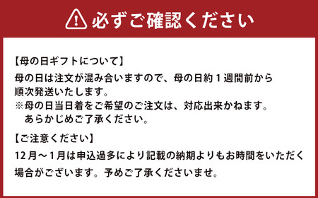 【全3回定期便】 おまかせフラワーアレンジメント 【S】 ／ 長崎県産 お花 花 ギフト