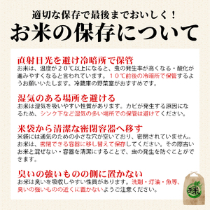 【先行予約】【令和8年産米】ひとめぼれ10kg　会津磐梯山の恵みこだわり栽培米　令和8年10月下旬頃より発送予定