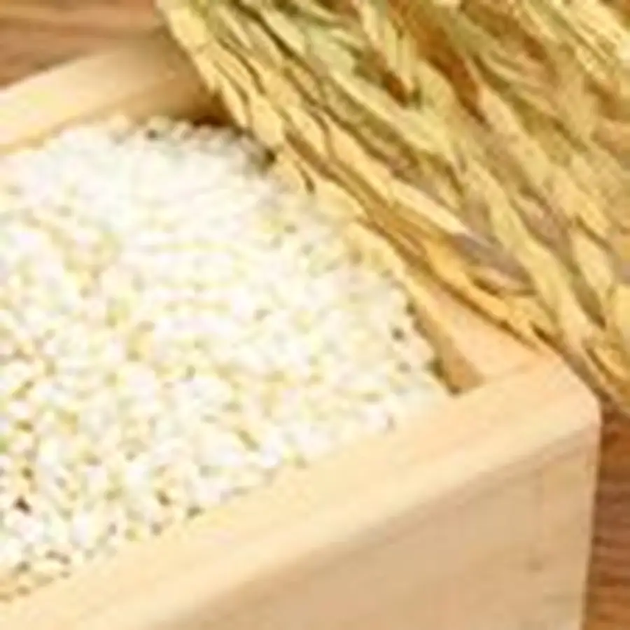 【令和7年産】 当日精米! 農家直送 美味しい クラシックコシヒカリ 5kg 新潟県 米 こめ コメ 精米 白米 1F22018