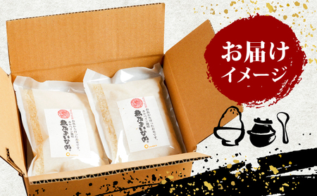 コシヒカリ 魚乃まいひめ カルペイン栽培 計 1升 2合 × 5袋 精米 秀長水産 お米 米 環境保全 カルペイン 鯛 真鯛 魚肥 使用 こめ コメ kome 小分け お弁当 弁当 おにぎり ふっくら ツヤツヤ 美味しい 甘い 備蓄 防災 産地直送 数量限定 国産 愛媛 宇和島 G012-016006