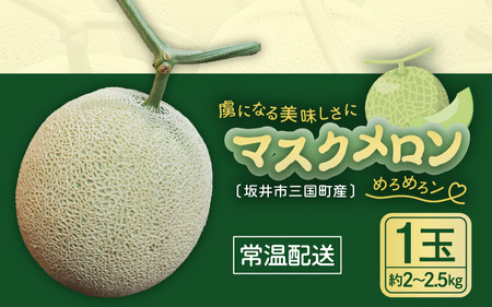 【先行予約】 マスクメロン 4Lサイズ以上 1玉 （約2～2.5kg） 虜になる美味しさにめろめろン? 大切な人の笑顔がみたいあなたへ 【2026年10月下旬以降順次発送予定】【メロン めろん フルーツ デザート 果物 くだもの 果実 青肉 糖度 甘い ジューシー お取り寄せ グルメ 産地直送】 [A-16204]