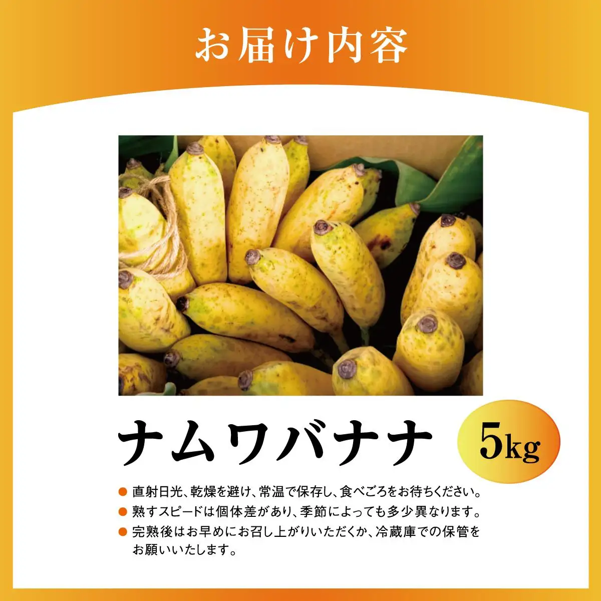  ナムワバナナ 5kg   