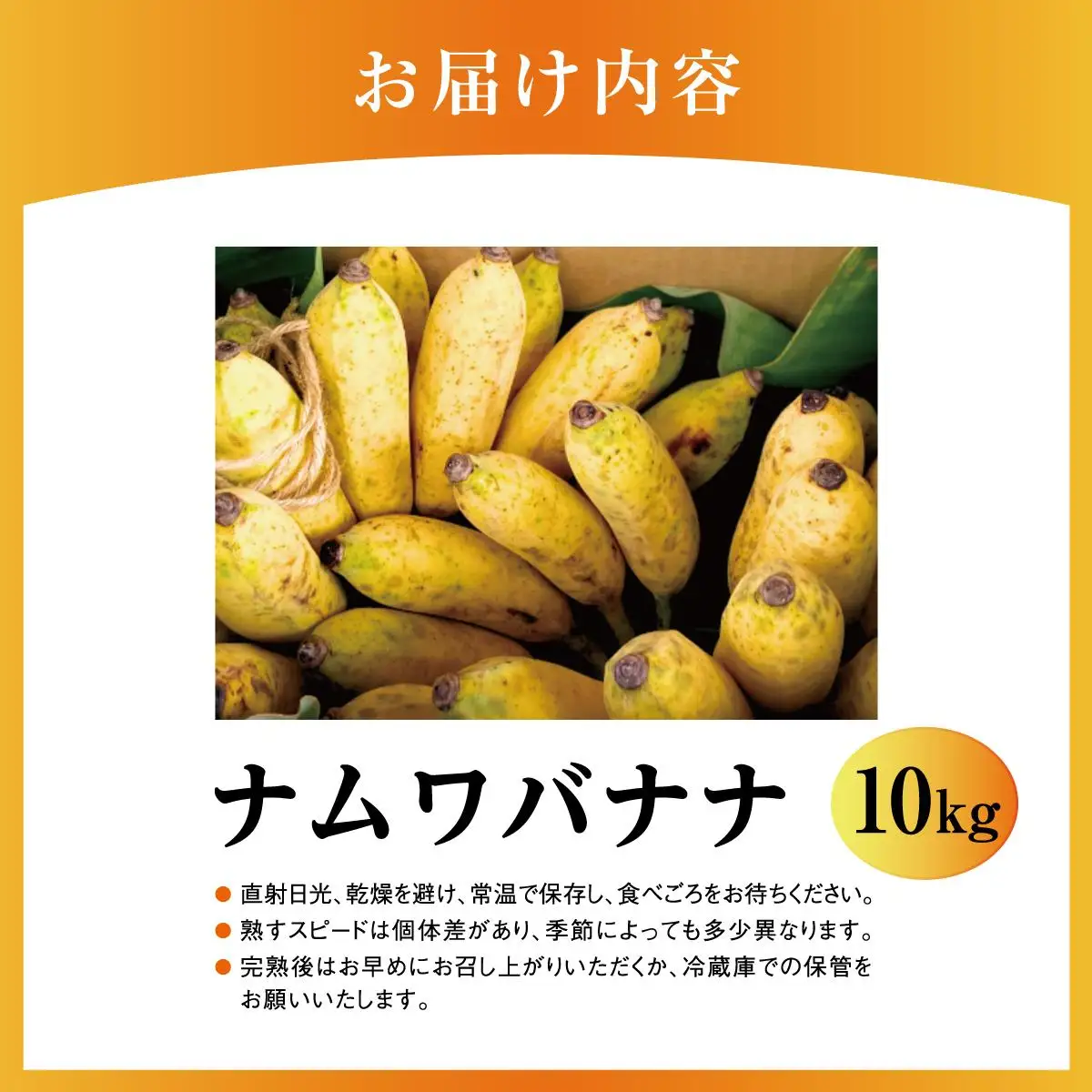 ナムワバナナ 10kg   