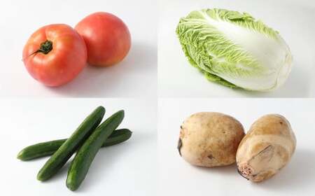 熊本県産 野菜 の 詰め合わせ 8品以上 やさい 季節の野菜 詰合せ 国産 