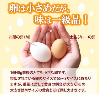 【ふるさと納税】＜土佐ジローの卵　6個パック×6（36個）＞高知県 佐川町 もちおのしっぽ【冷蔵】 高知県 佐川町 もちおのしっぽ【冷蔵】有精卵 平飼い 放し飼い ポストハーベスト農薬フリー（PHF ）飼料 非遺伝子組み換え飼料 使用 ブランド卵