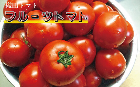 ≪2027年1月頃～発送≫【ふるさと納税】＜フルーツトマト 定期便 織田トマト 約1kg ×3回 計3kg 真っ赤なフルーツ太陽＞高知県 佐川町 サイズ混合 ＜毎年2月末頃まで申込受付＞【1月頃～5月頃の間に3回お届け】