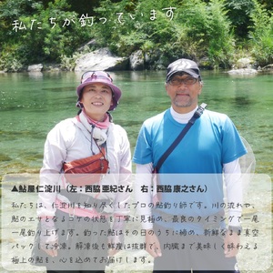 【14-28尾】有名料亭も絶賛！鮎屋仁淀川の仁淀ブルー友釣り天然鮎1㎏【2025年6月アユ漁解禁後発送】