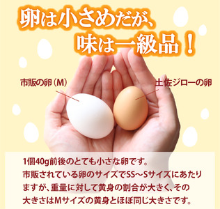 【ふるさと納税】 地鶏 たまご 定期便＜土佐ジローの卵 25個×3ヶ月 連続 ＞ 有精卵 平飼い 放し飼い ポストハーベスト農薬フリー（PHF ）飼料 非遺伝子組み換え飼料 使用 ブランド卵