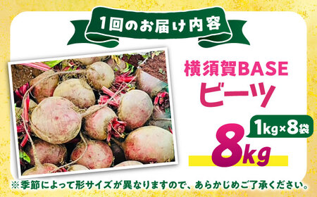 【全12回定期便】横須賀BASEビーツ 8kg（1kg×8袋）【ゆり子ファーム】 [AKCR009]